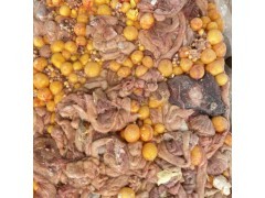 農(nóng)業(yè)產(chǎn)業(yè)鏈全景 從田間地頭到畜牧漁業(yè)的協(xié)同發(fā)展